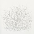 11_TREES.jpg