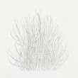 10_TREES.jpg