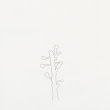 17_TREES.jpg
