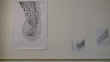 DSC00157.jpg
