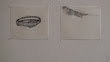 DSC00168.jpg