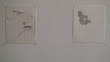 DSC00169.jpg