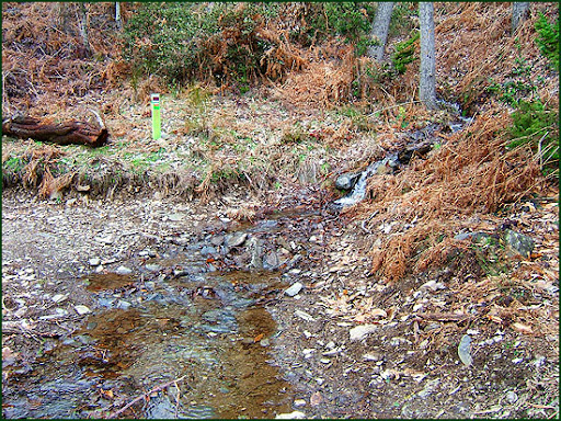 Ascenso a Les Agudes desde Fontmartina por el GR 5-2 5697