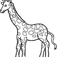 Mamíferos (140).jpg
