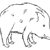 Mamíferos (72).jpg