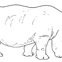 Mamíferos (250).jpg
