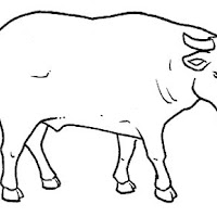 Mamíferos (269).jpg