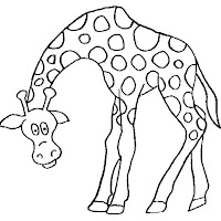 Mamíferos (136).jpg