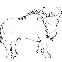 Mamíferos (207).JPG