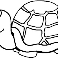 Reptiles (24).jpg