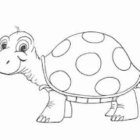 Reptiles (13).jpg