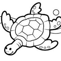 Reptiles (20).jpg