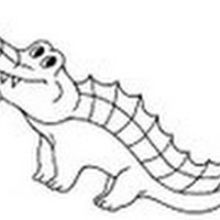 Reptiles (19).jpg