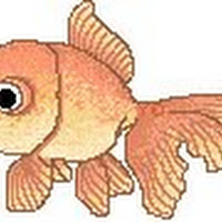 Peces (138).jpg