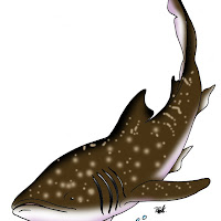 Peces (160).jpg