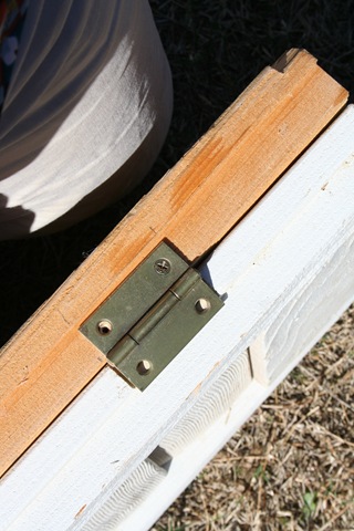 [20090315_10782.jpg]