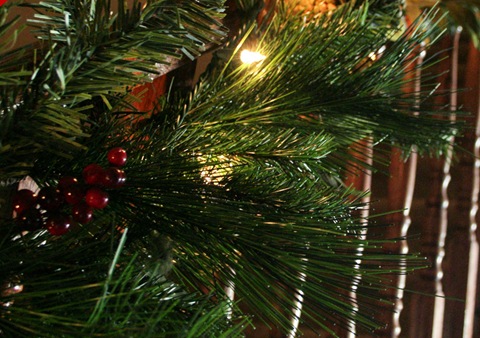 [20091210_1396[16].jpg]