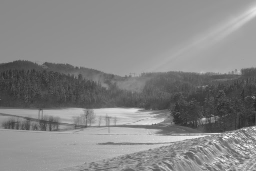 20090215-DSC_0014