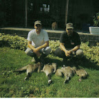 geese1.jpg