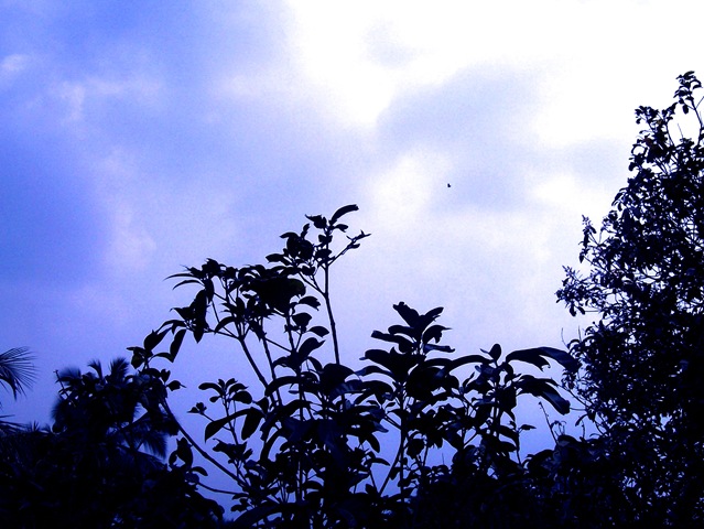 [sky[7].jpg]