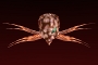 War of the Worlds Alien (Shapekeys Only) by Manga Gothic