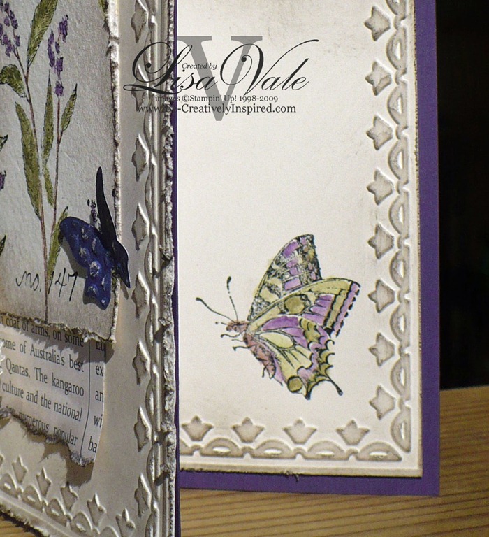 [P1150195_edited-15.jpg]