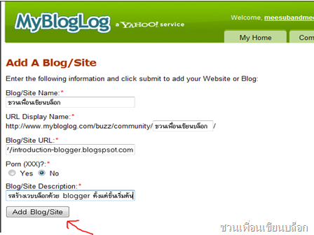 หา backlink จาก mybloglog