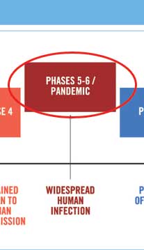 phases5-6.jpg