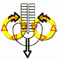 38a.gif