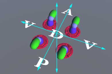 withorthogonal.jpg