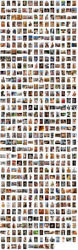 500 men with hairy chests in one gallery
