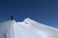 _MG_4219.jpg