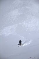 _MG_4512.jpg