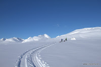 _MG_1248.jpg
