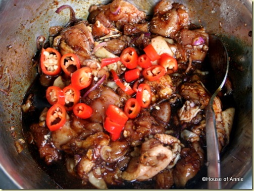chicken in indonesian satay marinade
