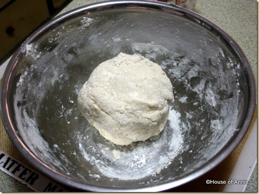 homemade dumpling dough first rest