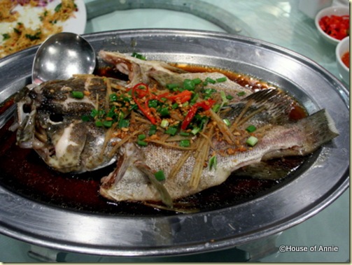steamed grouper rock road seafood steamed grouper rock road seafood