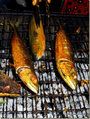 grilled mackerel