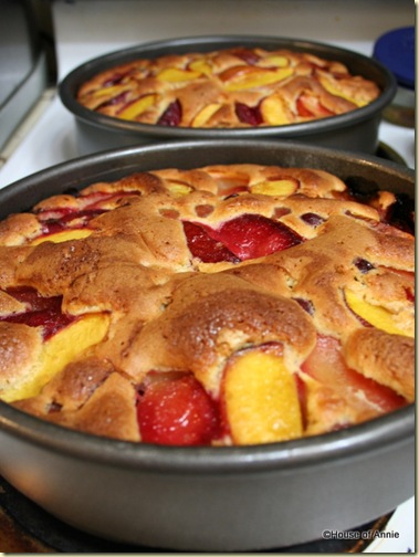 Plum Nectarine Grape Fruit Pastry Baked