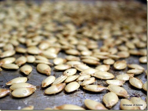 roasted salted pumpkin seeds