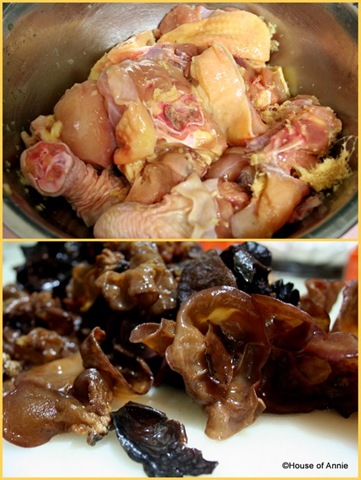 [chicken and ginger and fresh black fungus[2].jpg]