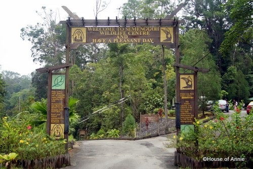 [Semenggoh Wildlife Centre entrance gate[2].jpg]