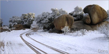 Dons winter pictures (7) Dons winter pictures (7)