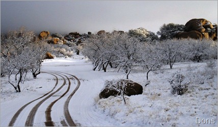 Dons winter pictures (8) Dons winter pictures (8)