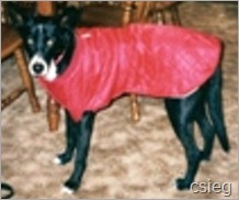 Shadow red coat Shadow red coat
