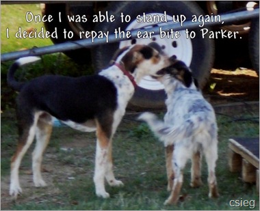 Clyde and Parker 25 Clyde and Parker 25
