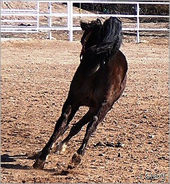Kchocholate Feb 21 2011 08121 Kchocholate Feb 21 2011 08121