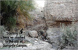 Gargoyle Canyon  Entrance 01