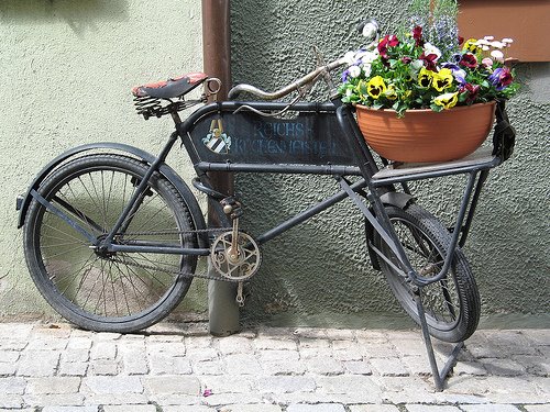 W la bicicletta