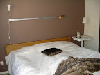 100108-DSC09234.jpg